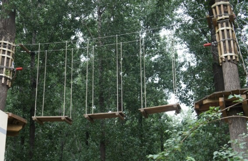 圖片 1的(de)副本.png